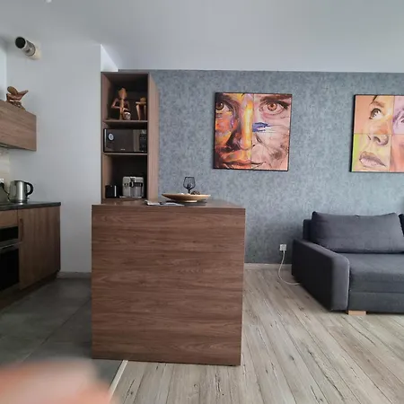 Q Gold - 3 Pokoje, Garaż, Klimatyzacja, Netflix Apartament