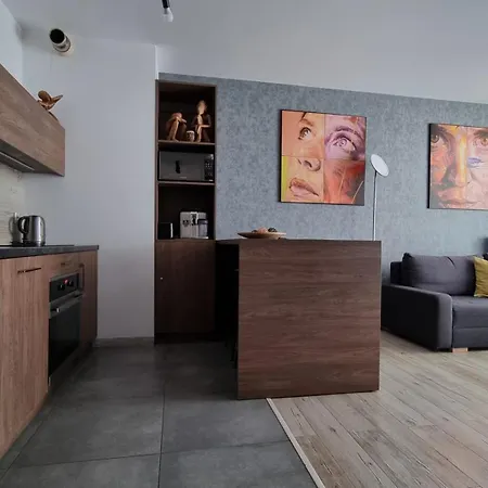 Appartamento Q Gold- 3 Pokojowy Klimatyzowany Przy Manufakturze Z Garazem Gratis, Fv *