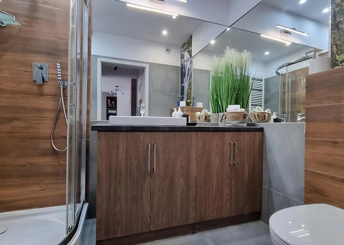 Q Gold- 3 Pokojowy Klimatyzowany Przy Manufakturze Z Garazem Gratis, Fv 罗兹